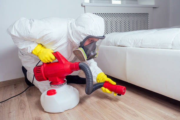 Best Insect Control  in West Haven, CT
